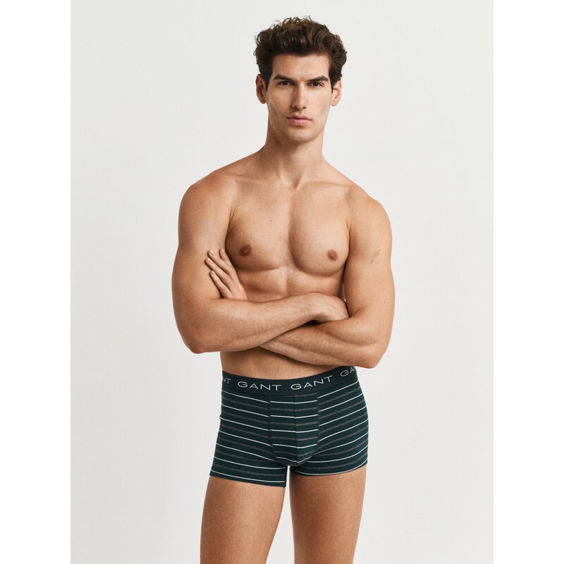 GANT Boxerky tmavosivá / zelená / biela 66681891