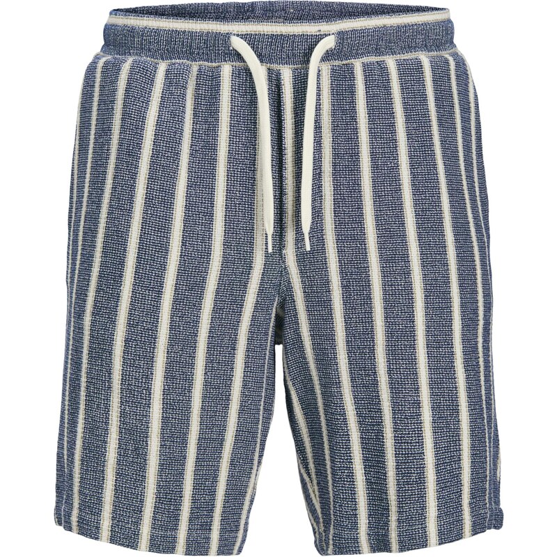 Jack & Jones Plus Nohavice JPSTAiden modrá / prírodná biela 66718236