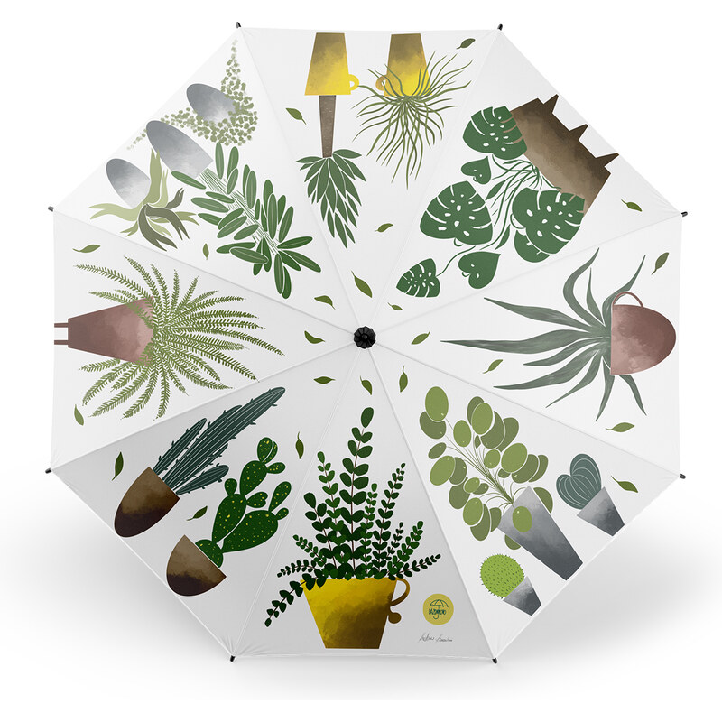 Dlhý dáždnik Rastlinky 28293868