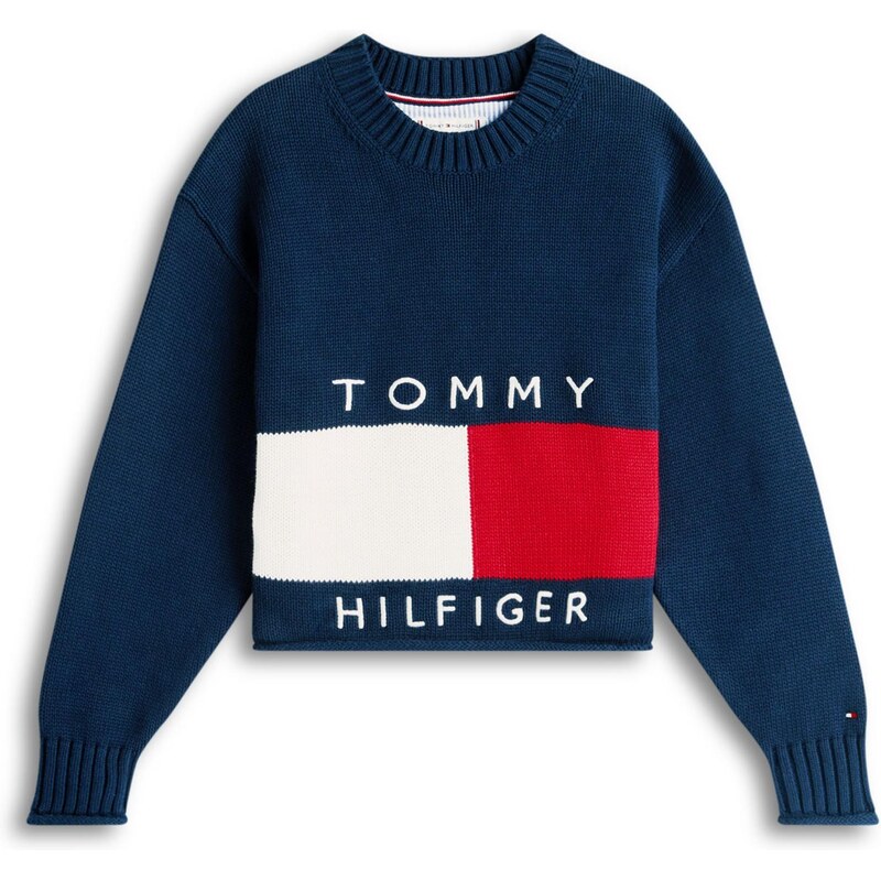TOMMY HILFIGER Sveter HERITAGE námornícka modrá / červená / biela 66865832