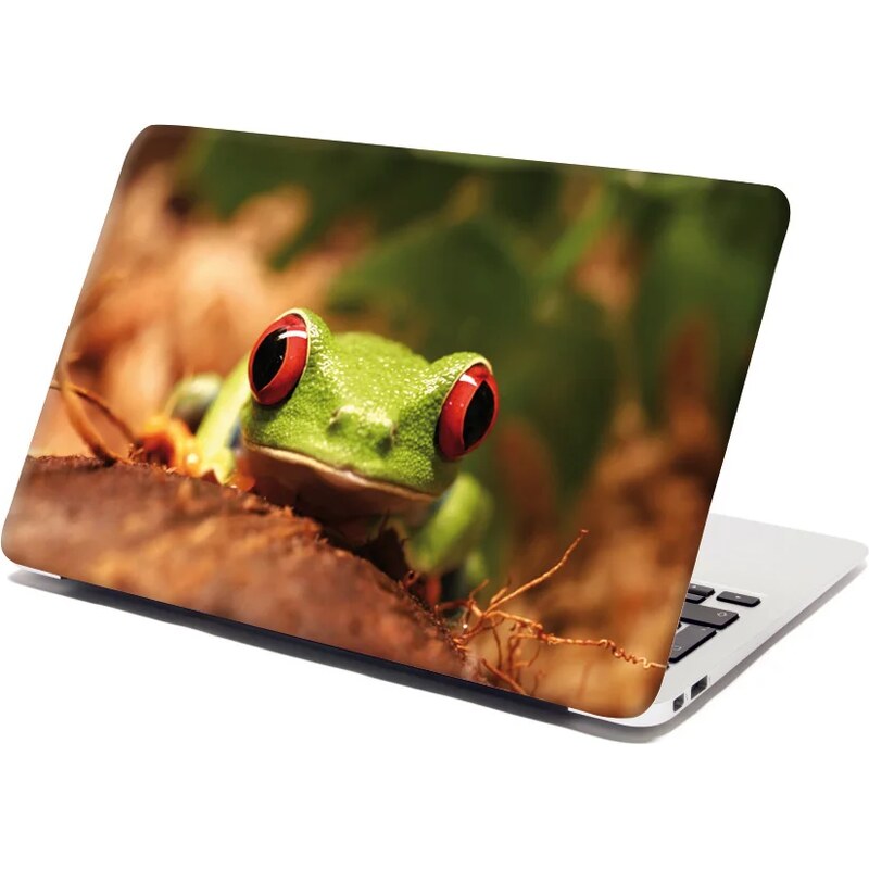 Sablio Samolepka na notebook Zelená žaba 65098669