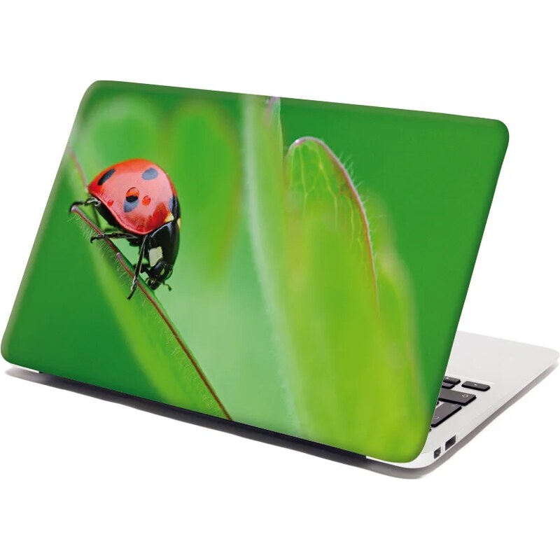 Sablio Samolepka na notebook Lienka na liste 65098583