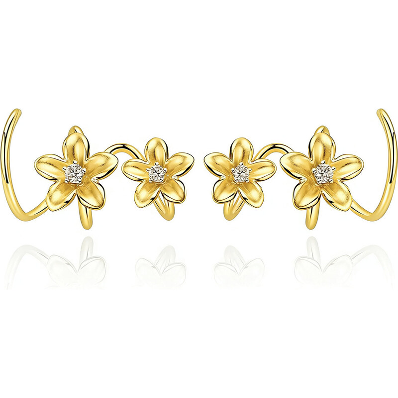 Dámske strieborné náušnice BOGUSIA 66887772