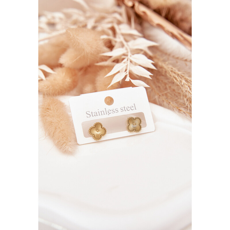 Boto Náušnice ze nerezové oceli zlaté 66892341