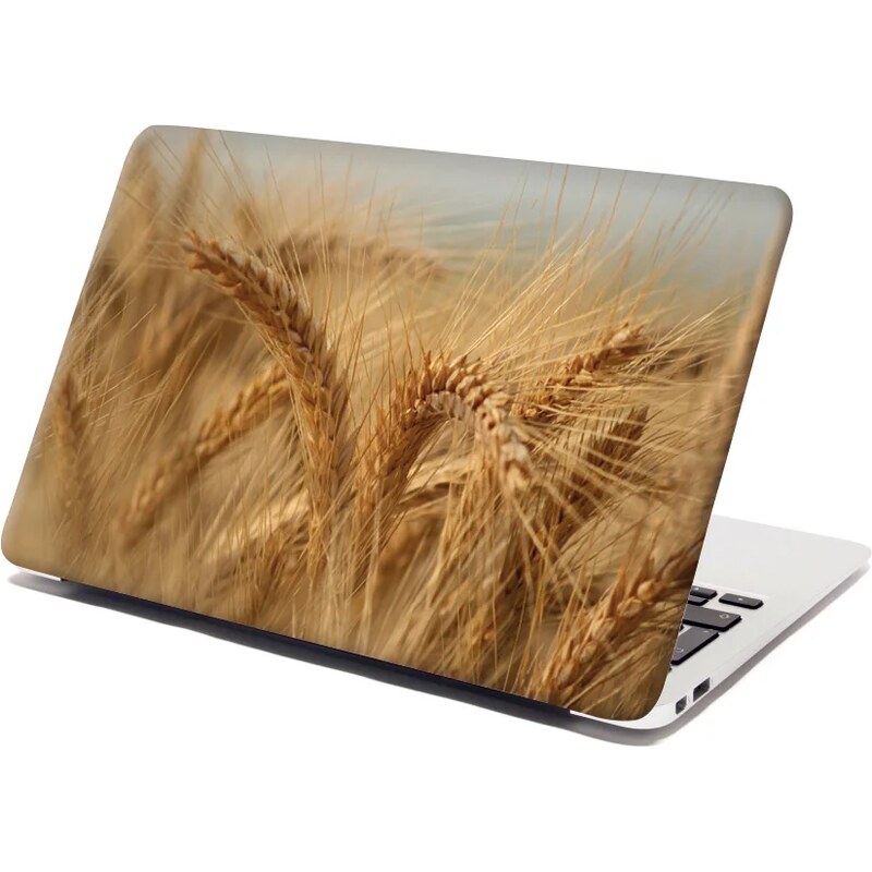 Sablio Samolepka na notebook Klasy 2 65102015