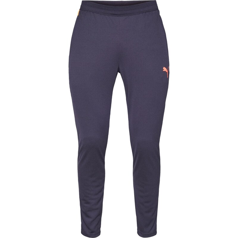 PUMA Športové nohavice Individual CUP námornícka modrá / 66945432