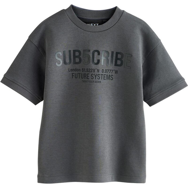 Next Tričko sivá 66952023