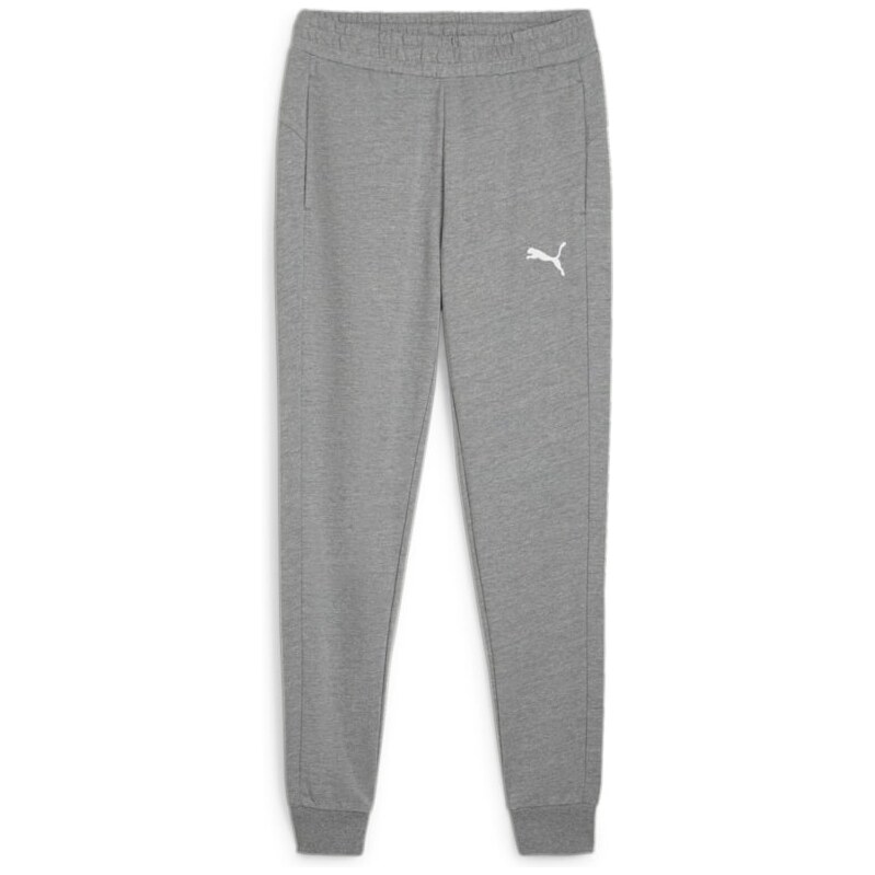 Puma teamGOAL Casuals Pants gray 66958539