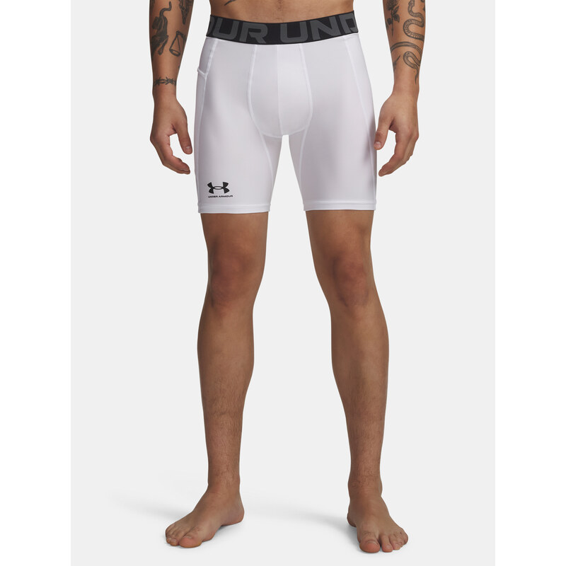 Pánske kraťasy Under Armour 25492363