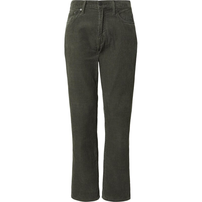 GAP Nohavice zelená 66976818