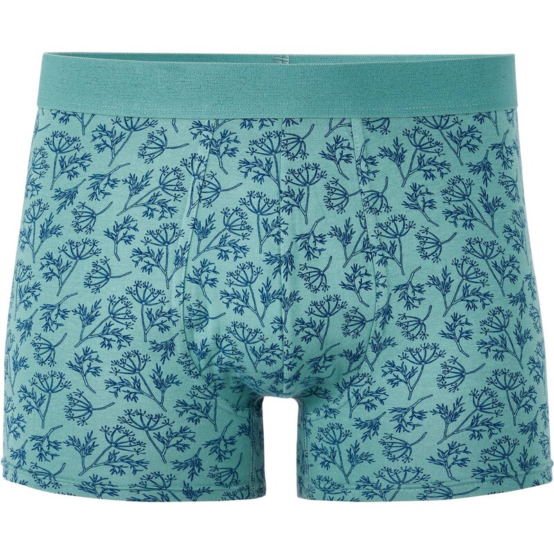 Celio Boxerky Libofloral 66980261