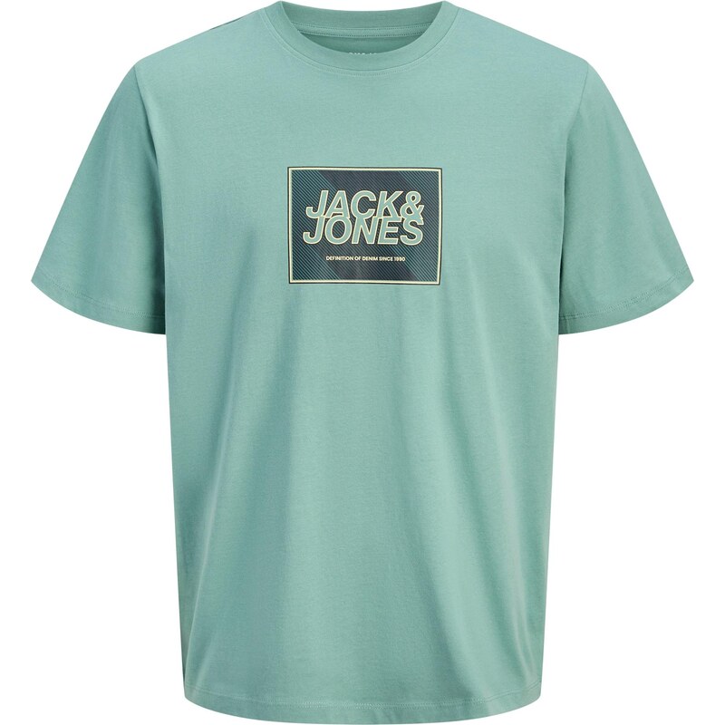 JACK & JONES Tričko JJRAIN trstinová / jedľová / biela 67007586