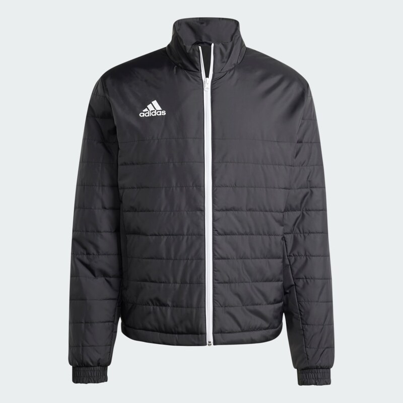 Adidas Bunda Entrada Light 59811712