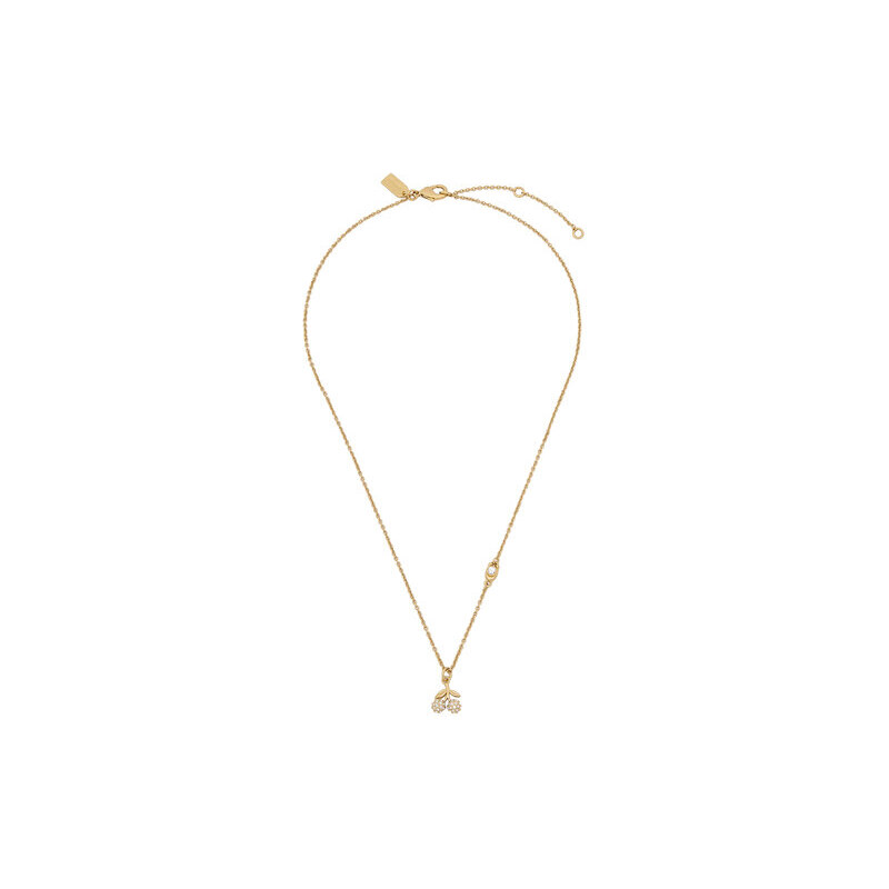 Náhrdelník Coach 67026263