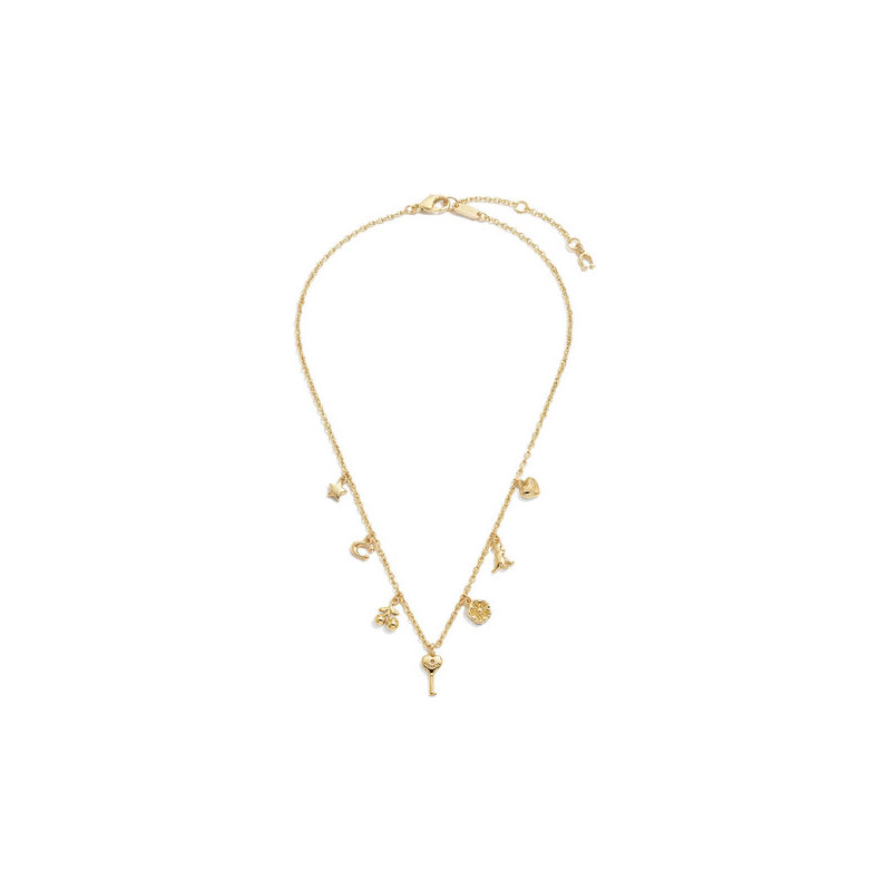 Náhrdelník Coach 67035266