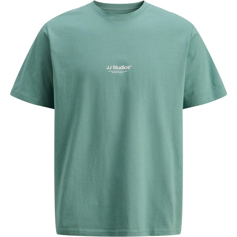 JACK & JONES Tričko JJESoho trstinová / biela 67039103