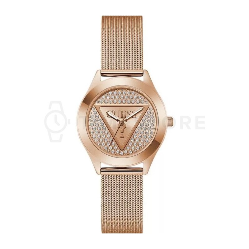 Guess Plaque GW0835L3 GW0835L3 67066243