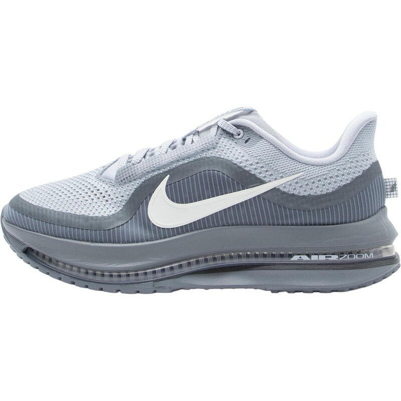NIKE Bežecká obuv Pegasus Premium svetlosivá / tmavosivá / biela 67077999