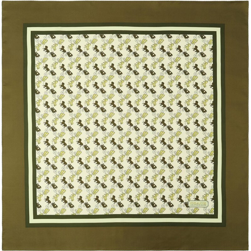 COACH Šatka čokoládová / zelená / svetlozelená / biela 67103850