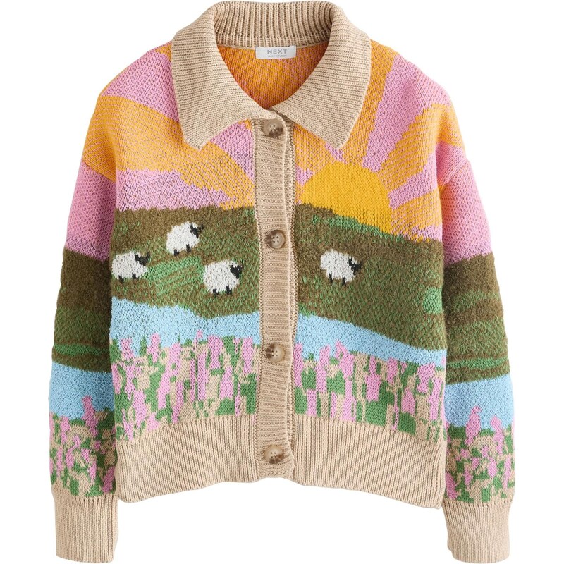 Next Kardigán zmiešané farby 67106651