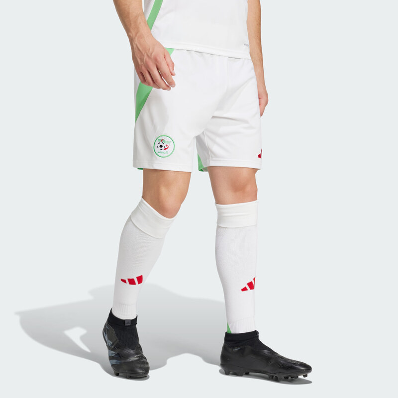 Adidas Algeria 24 Home Shorts 67154624