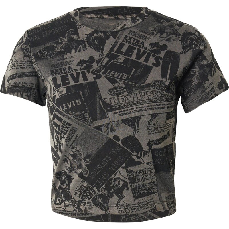 LEVIS Tričko Graphic Essential Sporty Tee antracitová / farby bahna / 67163855