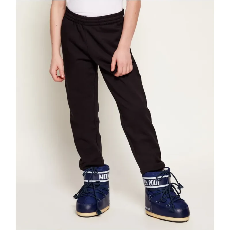 EA7 Teplákové nohavice | Regular Fit 39448792