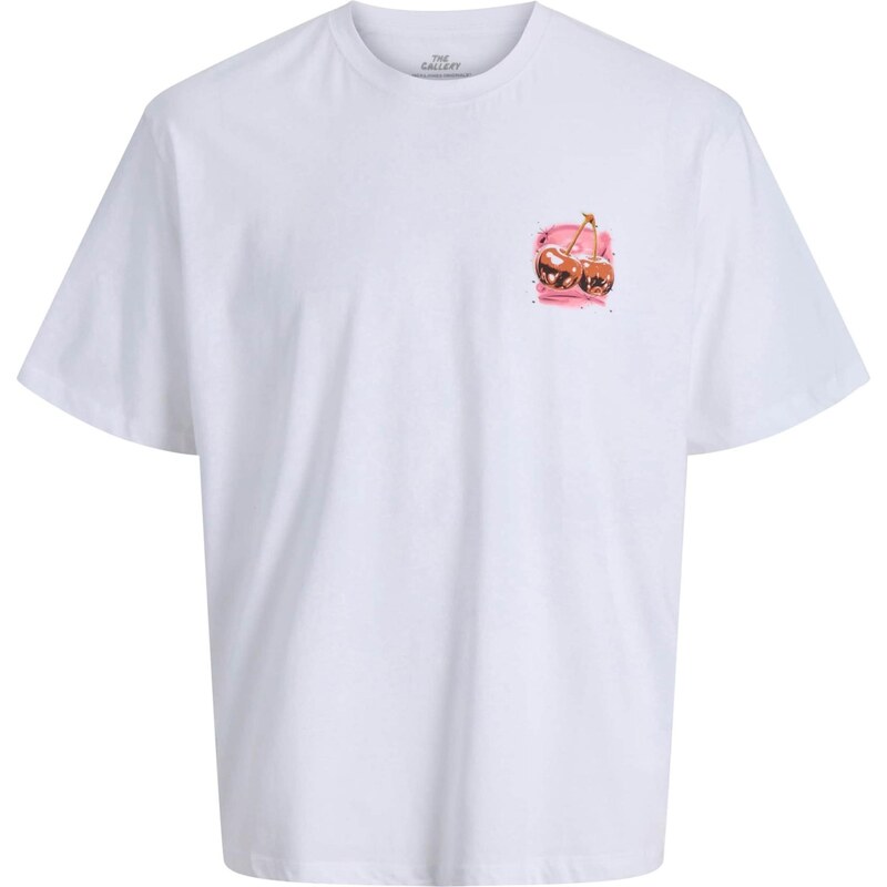 JACK & JONES Tričko JORAIRBRUSH ružová / červená / čierna / biela 67252646