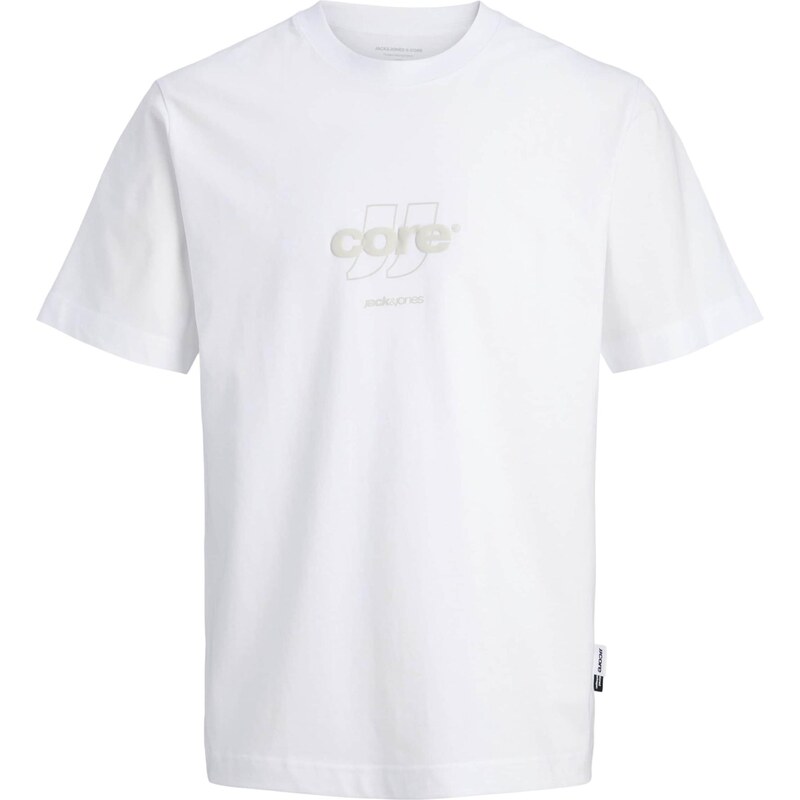 JACK & JONES Tričko JCOClub svetlosivá / biela 67267071