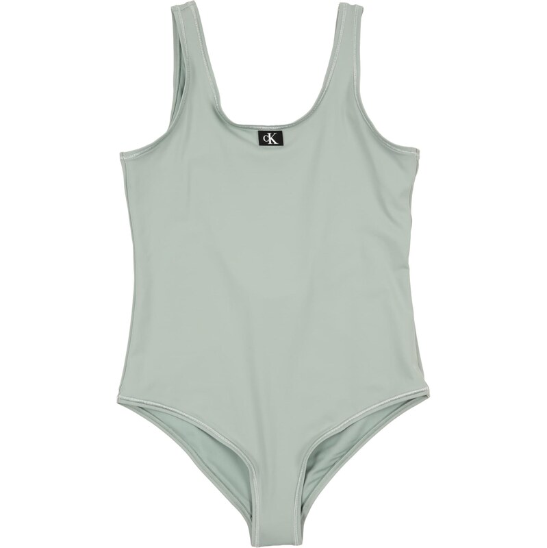 Calvin Klein Swimwear Jednodielne plavky dymovo šedá 67267621