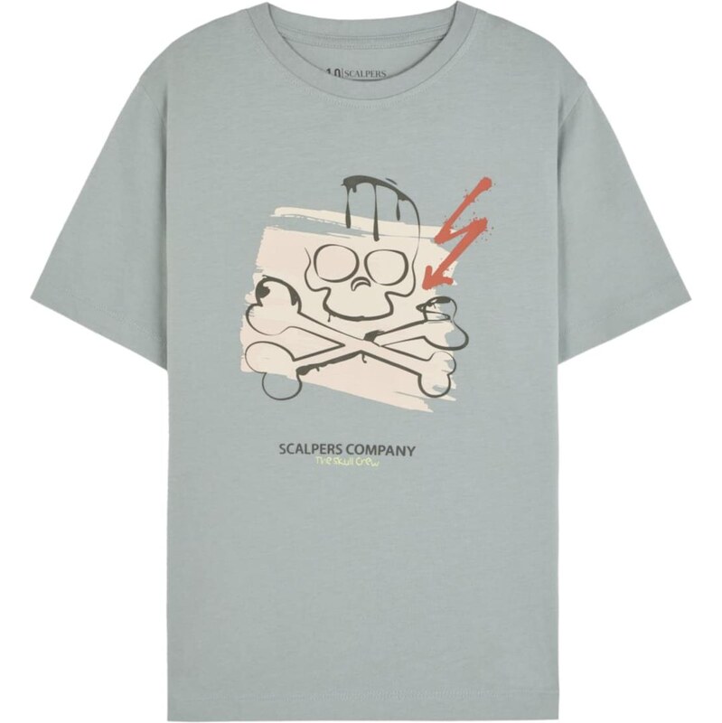 Scalpers Tričko Strokeskull mätová / zmiešané farby 67285815