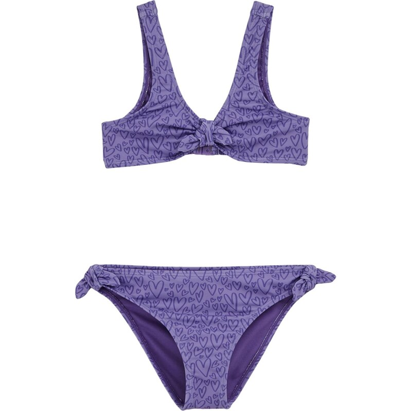 WE Fashion Bikiny fialová / svetlofialová 67298045