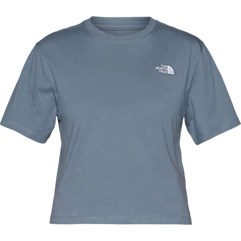 THE NORTH FACE Tričko EVOLUTION SIMPLE DOME čadičová / biela 67298343