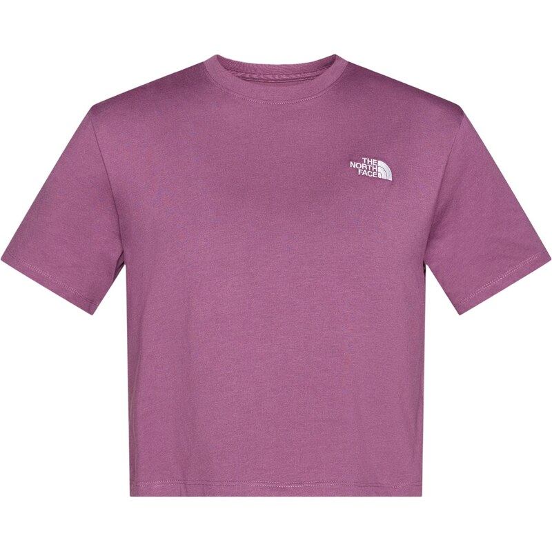 THE NORTH FACE Tričko EVOLUTION SIMPLE DOME fialová 67298352