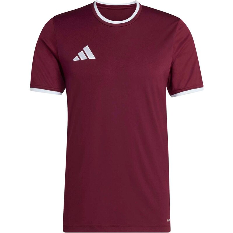 ADIDAS PERFORMANCE Funkčné tričko ENT26 burgundská / biela 67298842