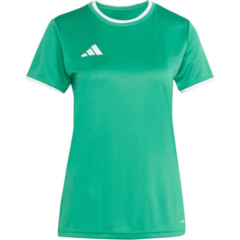 ADIDAS PERFORMANCE Funkčné tričko ENT26 zelená / biela 67298833
