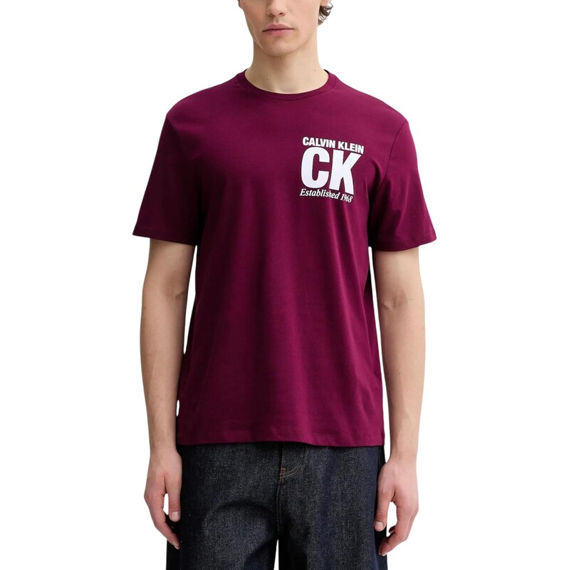 Calvin Klein pánske tričko s krátkym rukávom 67313442