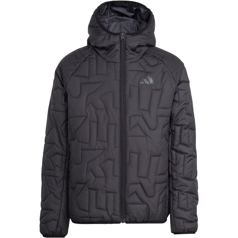 ADIDAS TERREX Outdoorová bunda Xperior sivá / čierna 67317813
