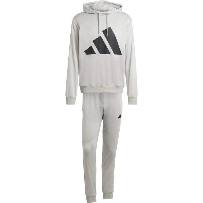 ADIDAS SPORTSWEAR Tréningový komplet sivá / čierna 67335873