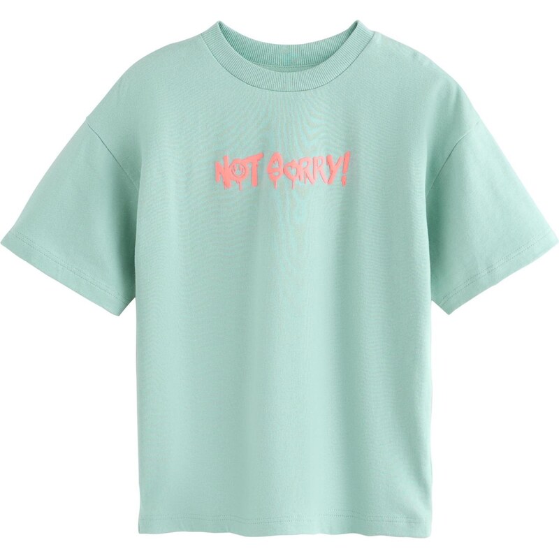 Next Tričko mätová 67361141