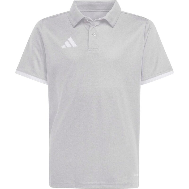 ADIDAS PERFORMANCE Funkčné tričko ENT26 svetlosivá / biela 67362820