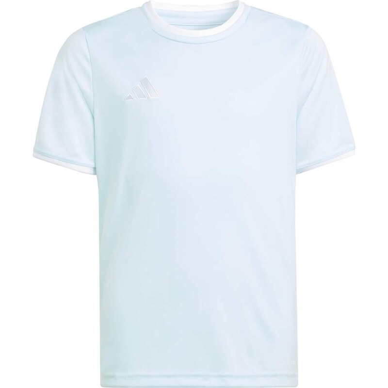 ADIDAS PERFORMANCE Funkčné tričko ENT26 mätová / biela 67362819