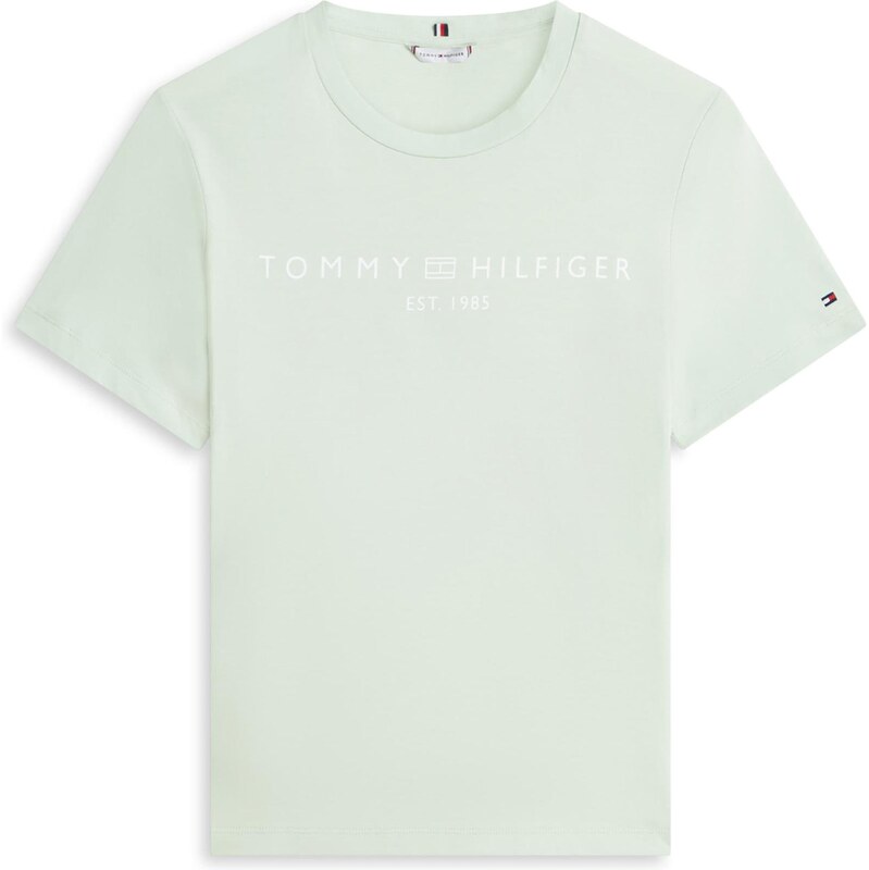 TOMMY HILFIGER Tričko mätová / biela 67369000