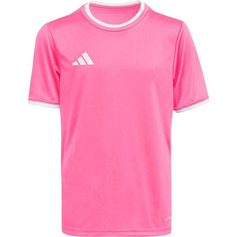 ADIDAS PERFORMANCE Funkčné tričko ENT26 ružová / biela 67369574