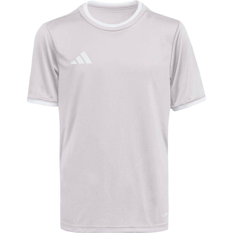 ADIDAS PERFORMANCE Funkčné tričko ENT26 kamenná / biela 67369582