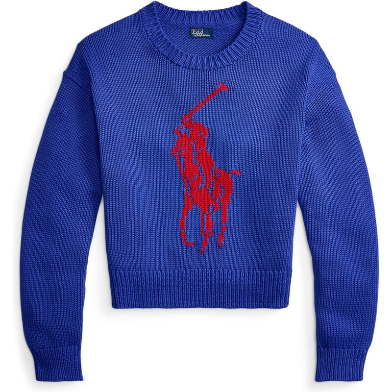 Polo Ralph Lauren Sveter kráľovská modrá / červená 67399923