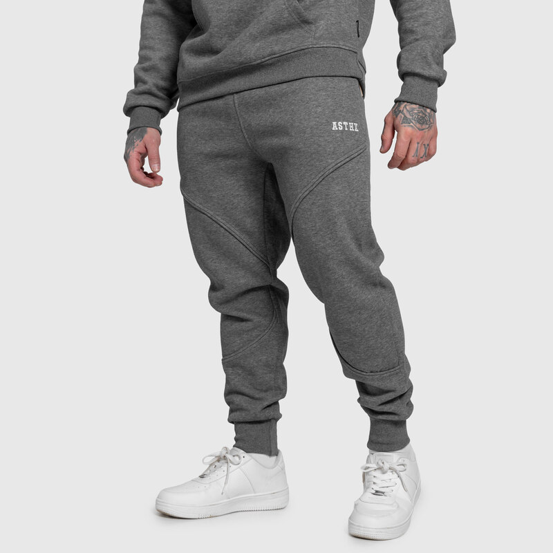 Pánske tepláky Iron Aesthetics ASTHX, sivé 67404544