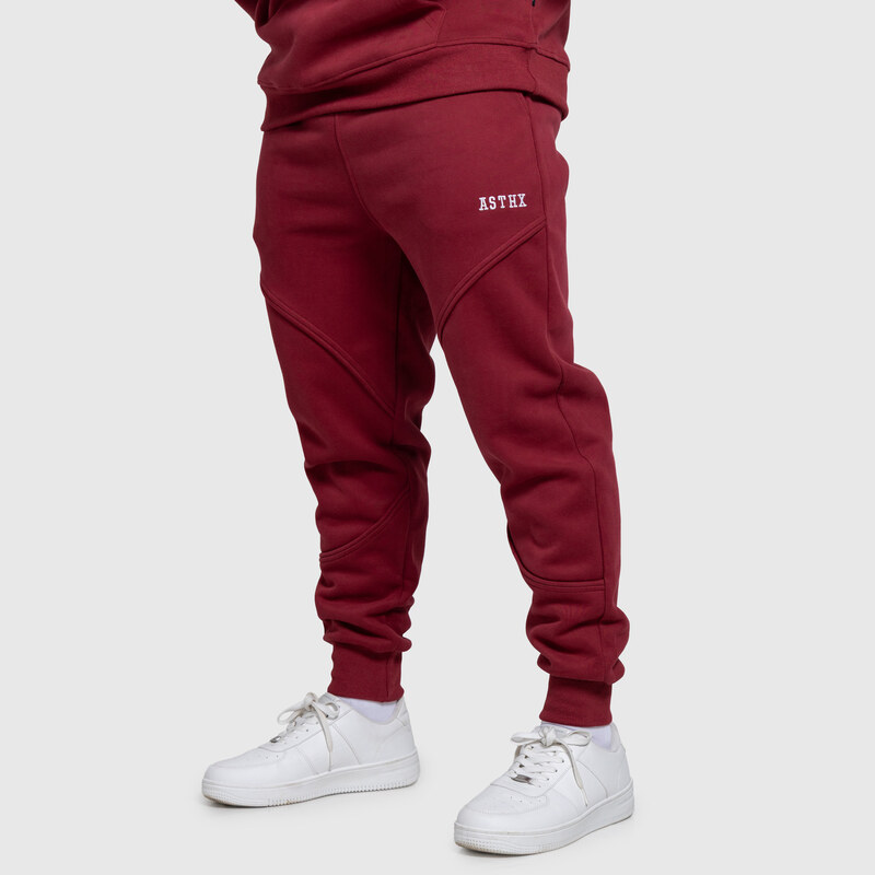 Pánske tepláky Iron Aesthetics ASTHX, bordové 67404545