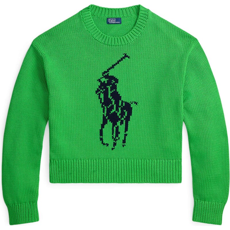 Polo Ralph Lauren Sveter námornícka modrá / zelená 67414857