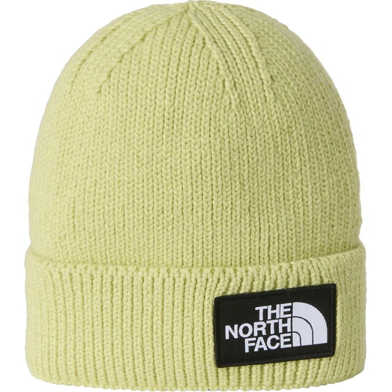 THE NORTH FACE Čiapky pastelovo zelená / čierna / biela 67414953